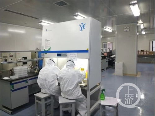 重慶醫(yī)科大學(xué)成功研發(fā)新型冠狀病毒免疫檢測試劑盒